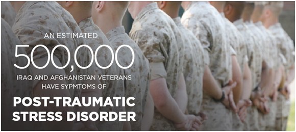 Image of PTSD Banner