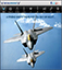 Image of Virtural Wingman logo